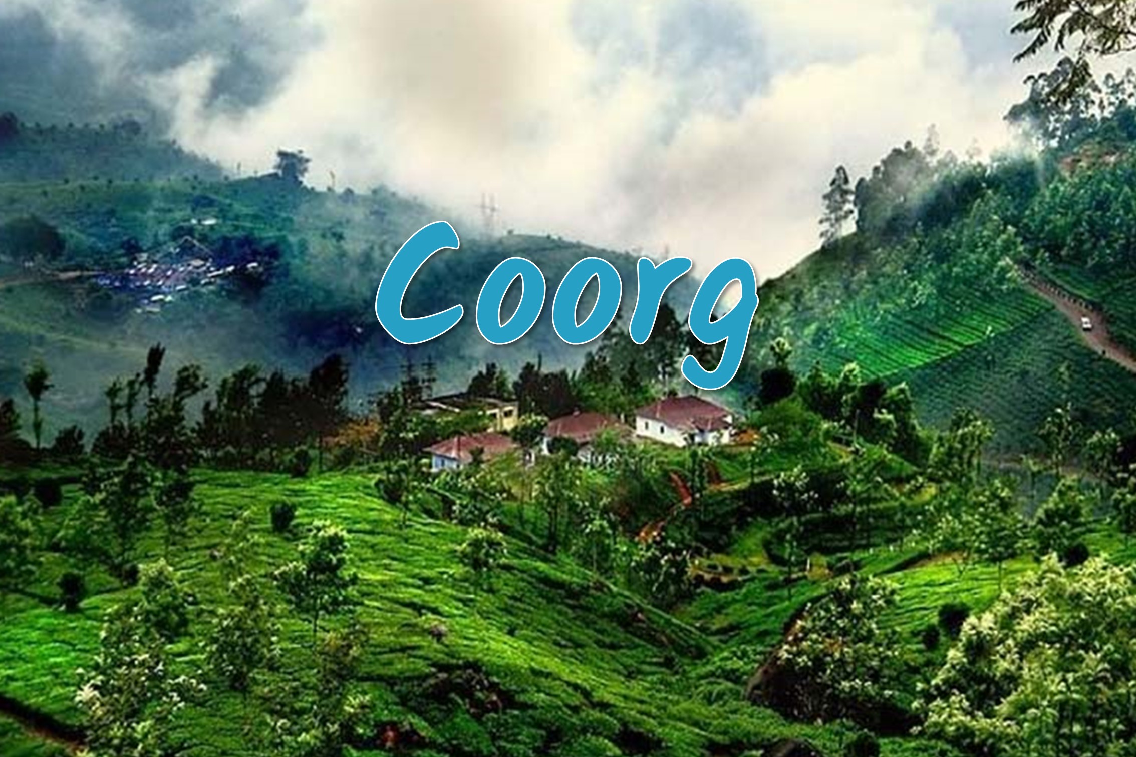 Coorg Coffee Estates & Misty Falls